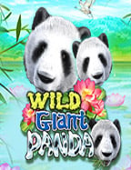 แนะนำวิธีสมัคร sbobet คา สิ โน และเล่นเกมยอดนิยม